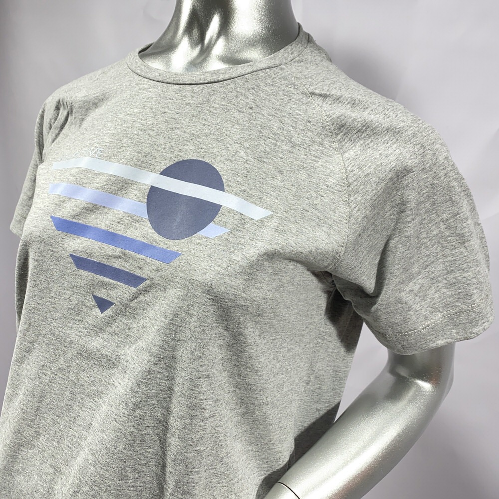 REMERA SUNSET GRIS