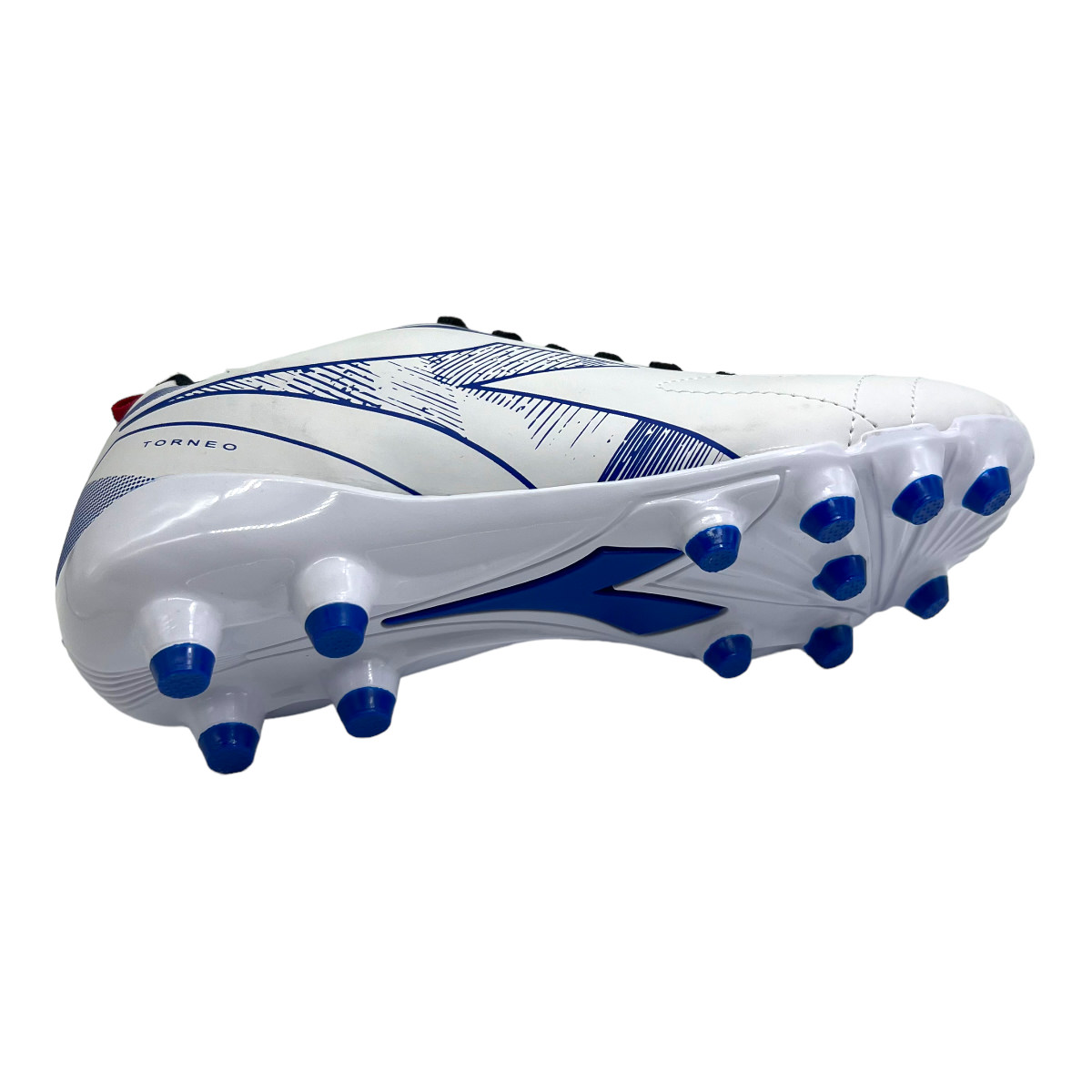 TORNEO CAMPO BLANCO AZUL