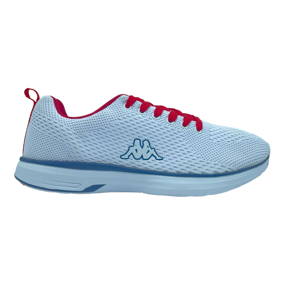 LOGO ASIVAT 2 WHITE BLUE MNE RED