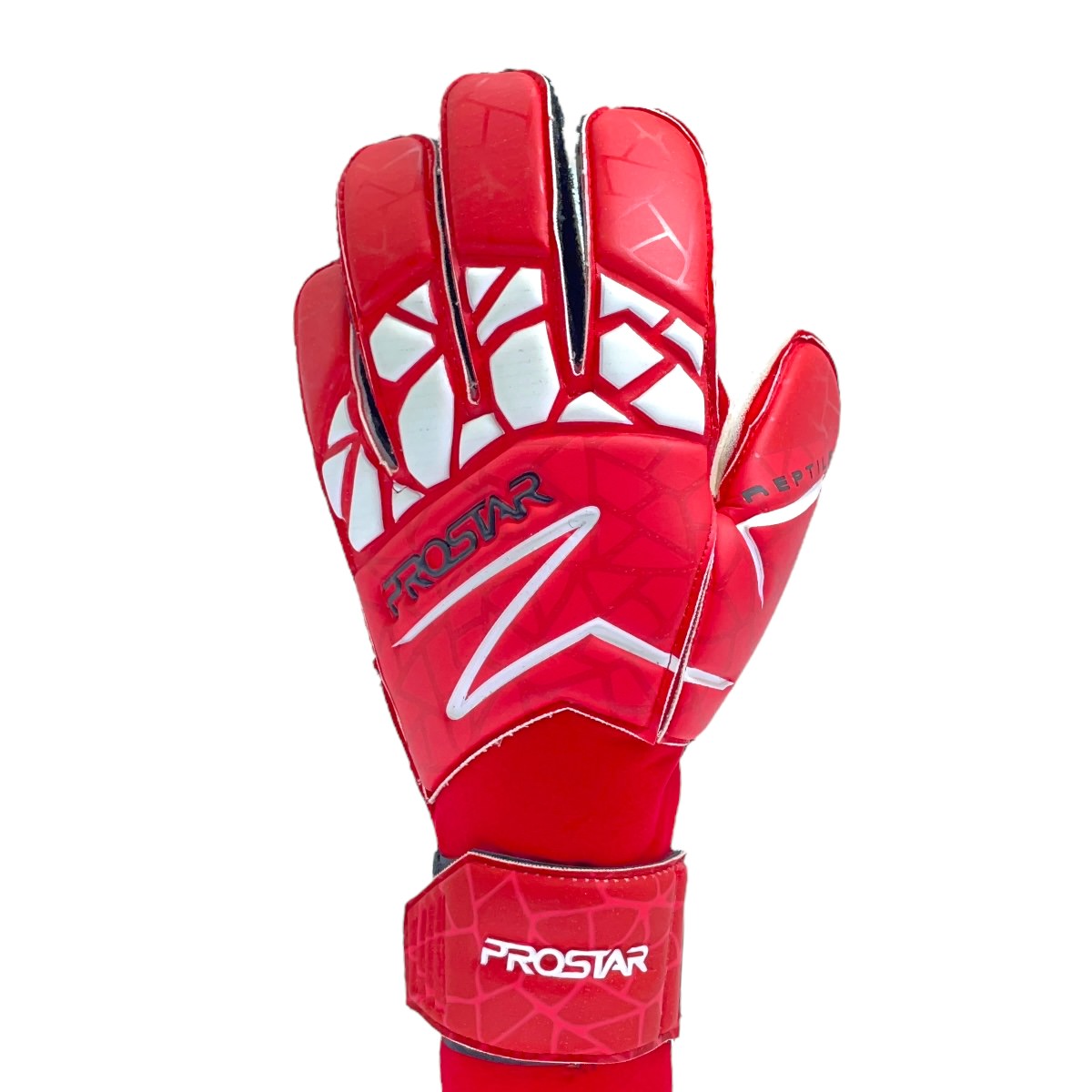 REPTILE DUO GRIP CLASSIC